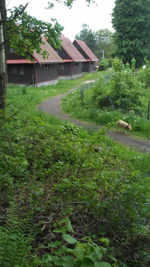 Apartmany Slavie/Sega Трояновіце Екстер'єр фото